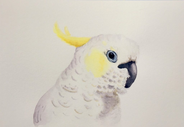 Cockatoo (2022)