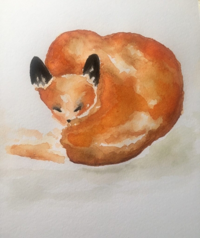 Fox