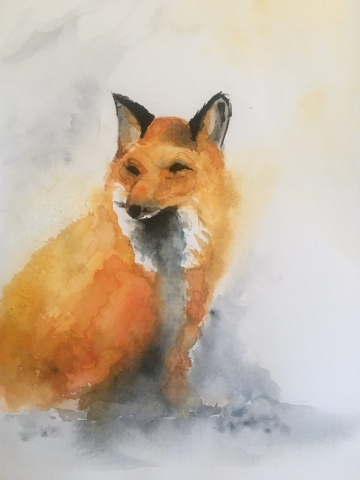 Fox