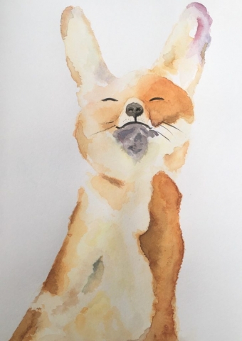 Fox