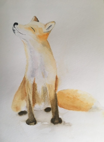 Fox