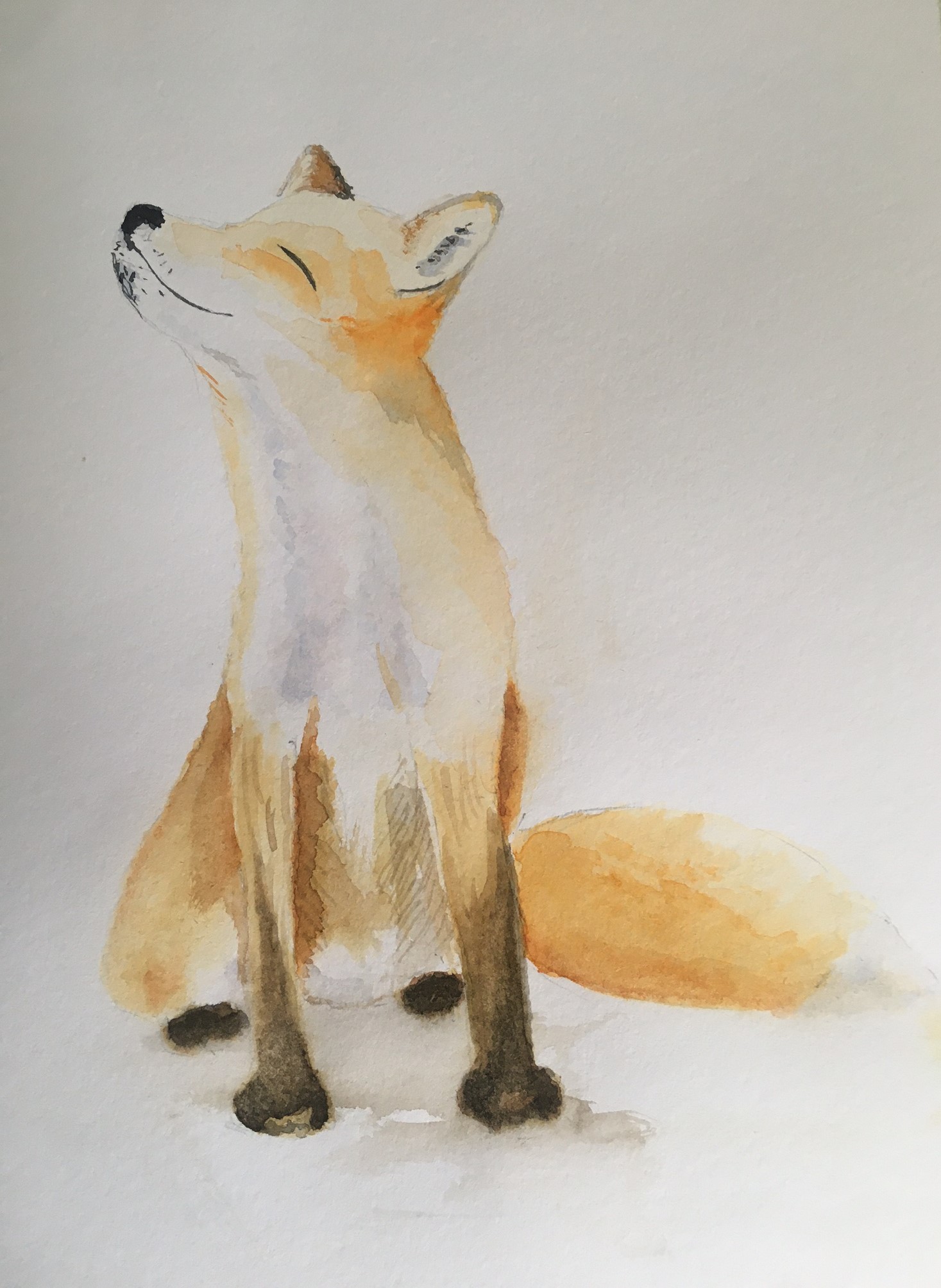 Fox