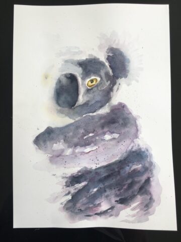 Koala