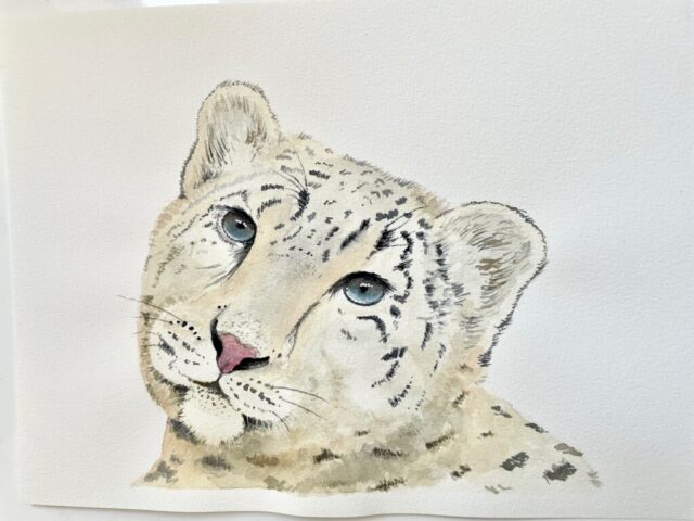 Snow Leopard