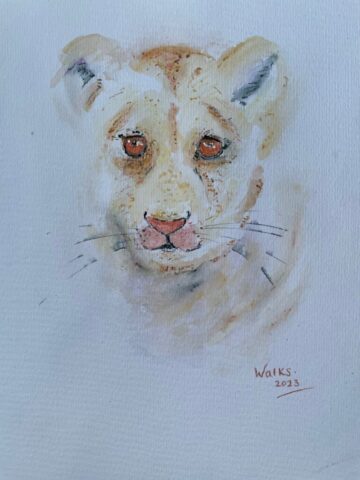 Cub