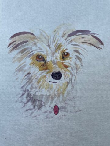 Terrier