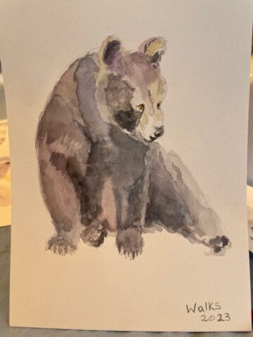 Bear