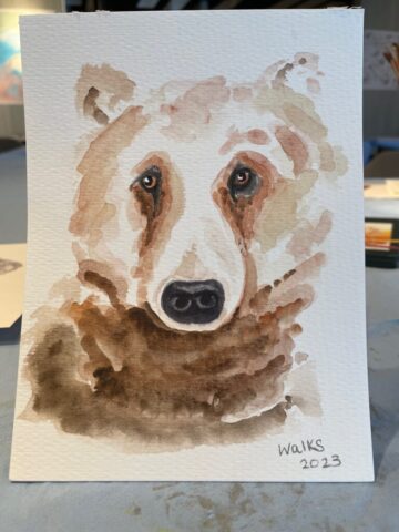 Bear