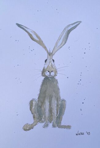 Hare