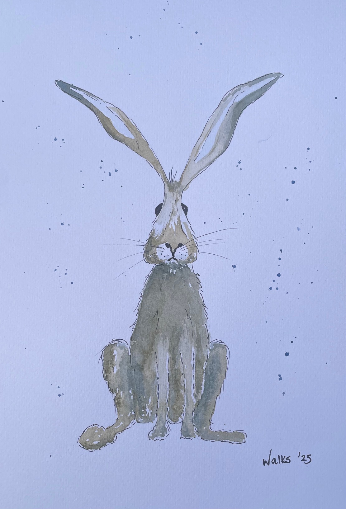 Hare