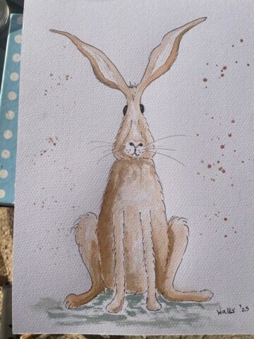 Hare