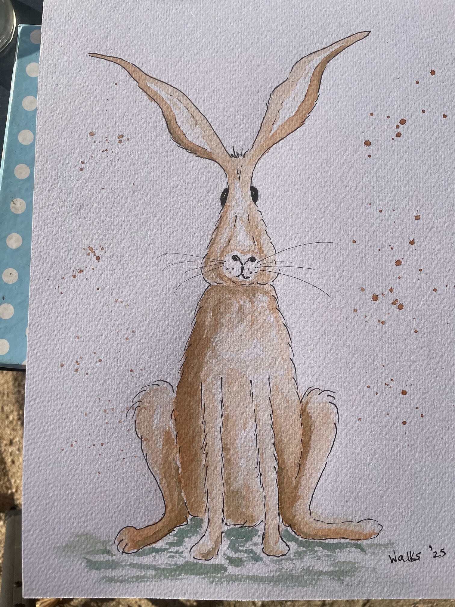 Hare