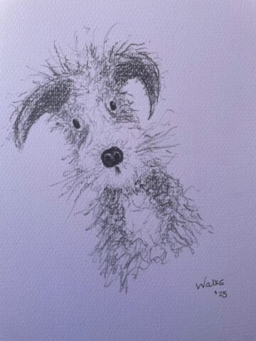 Puppy