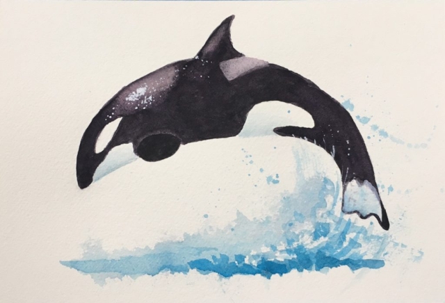 Orca