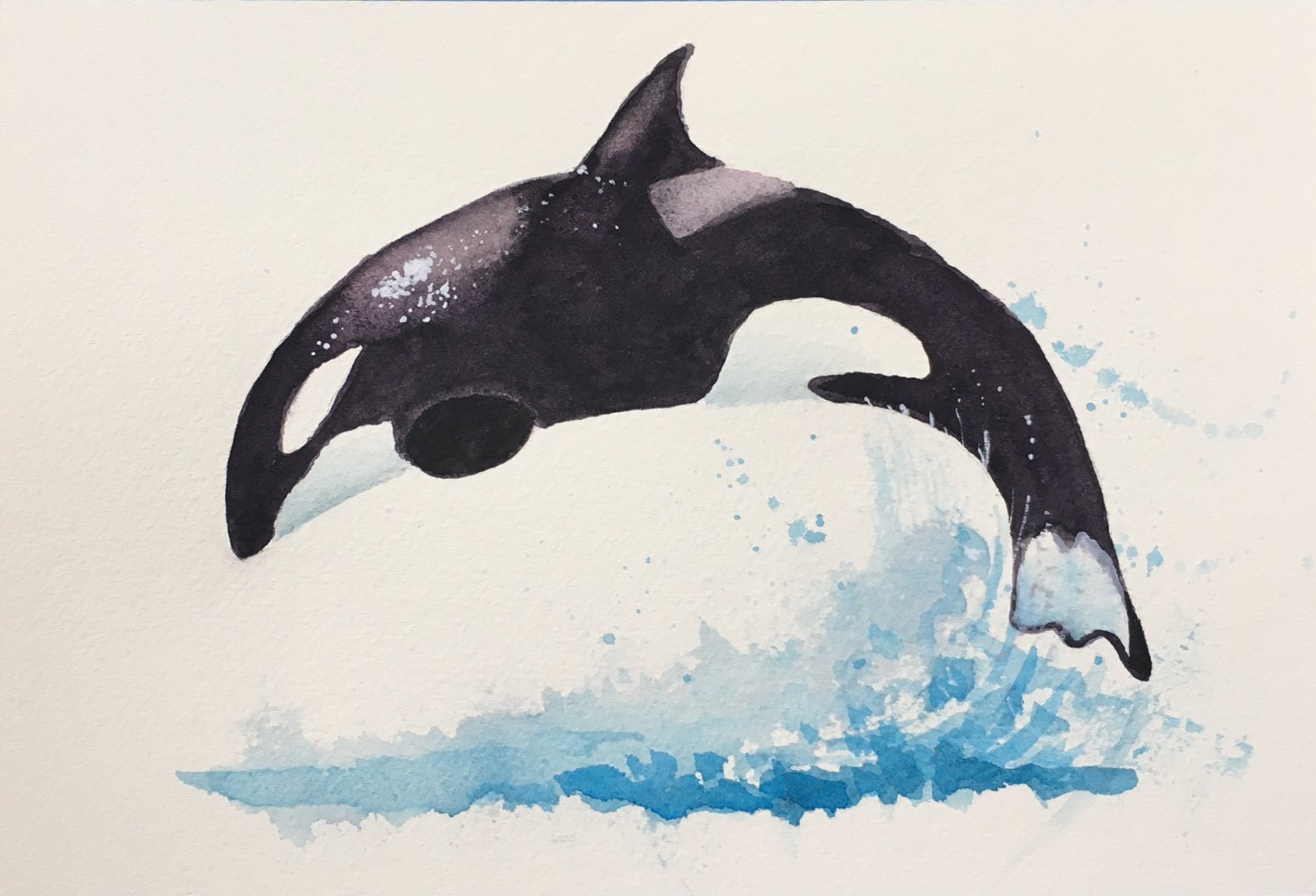 Orca