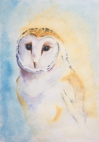 Owl (2022)