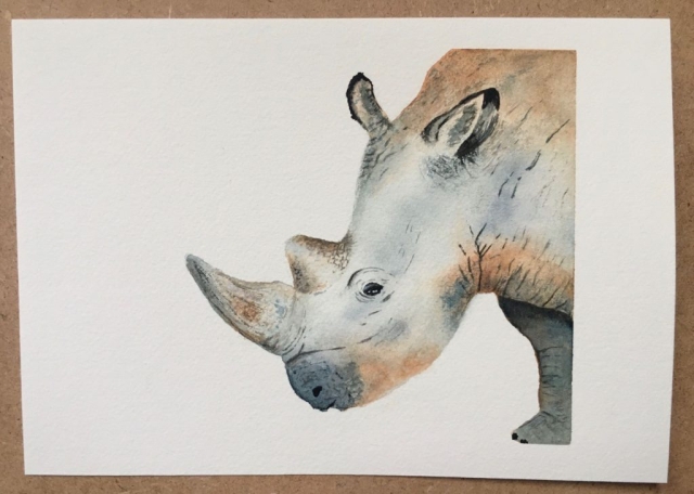 Rhino