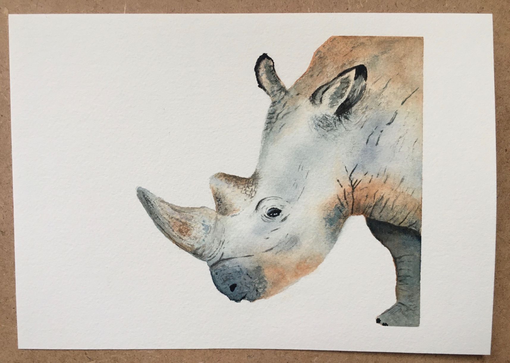 Rhino