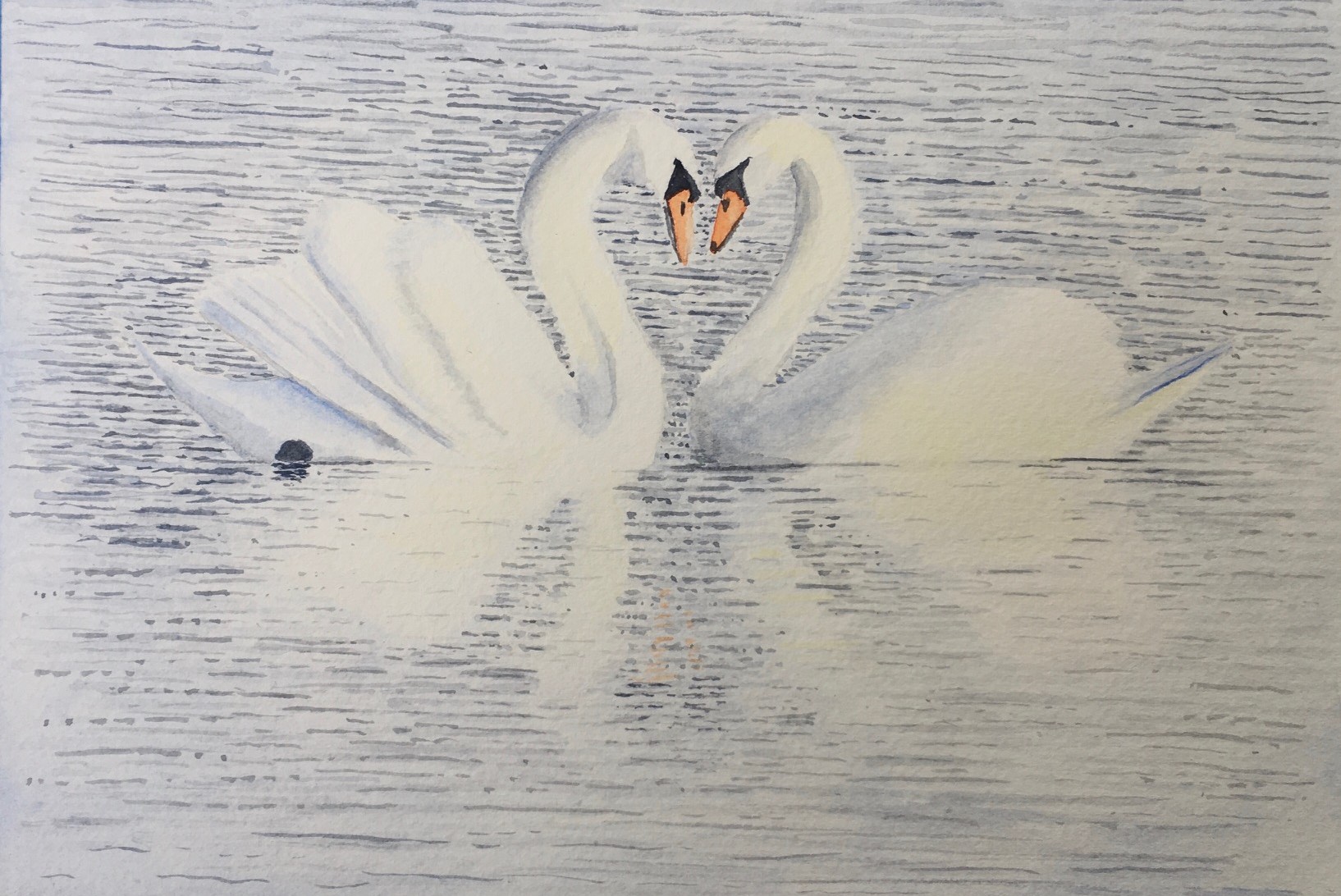 Swans