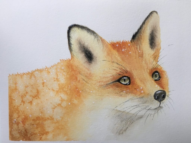 Red Fox