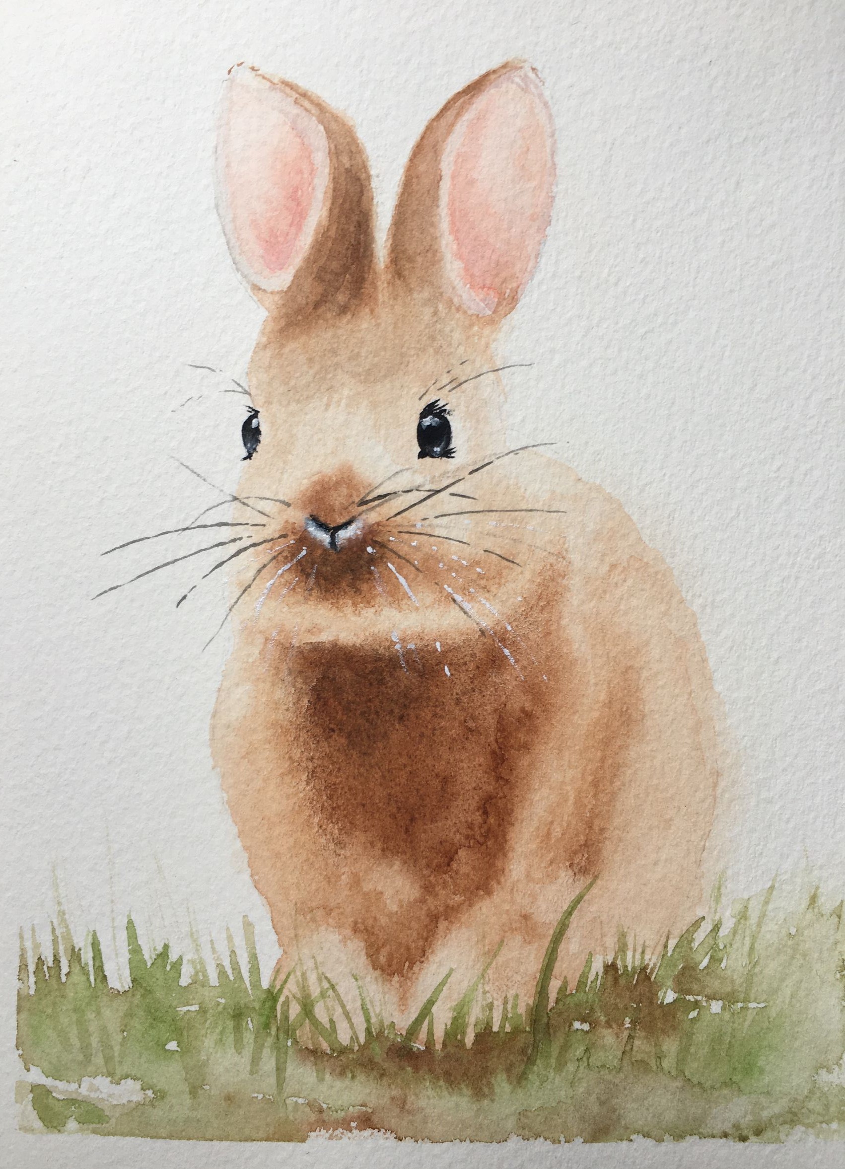 Bunny