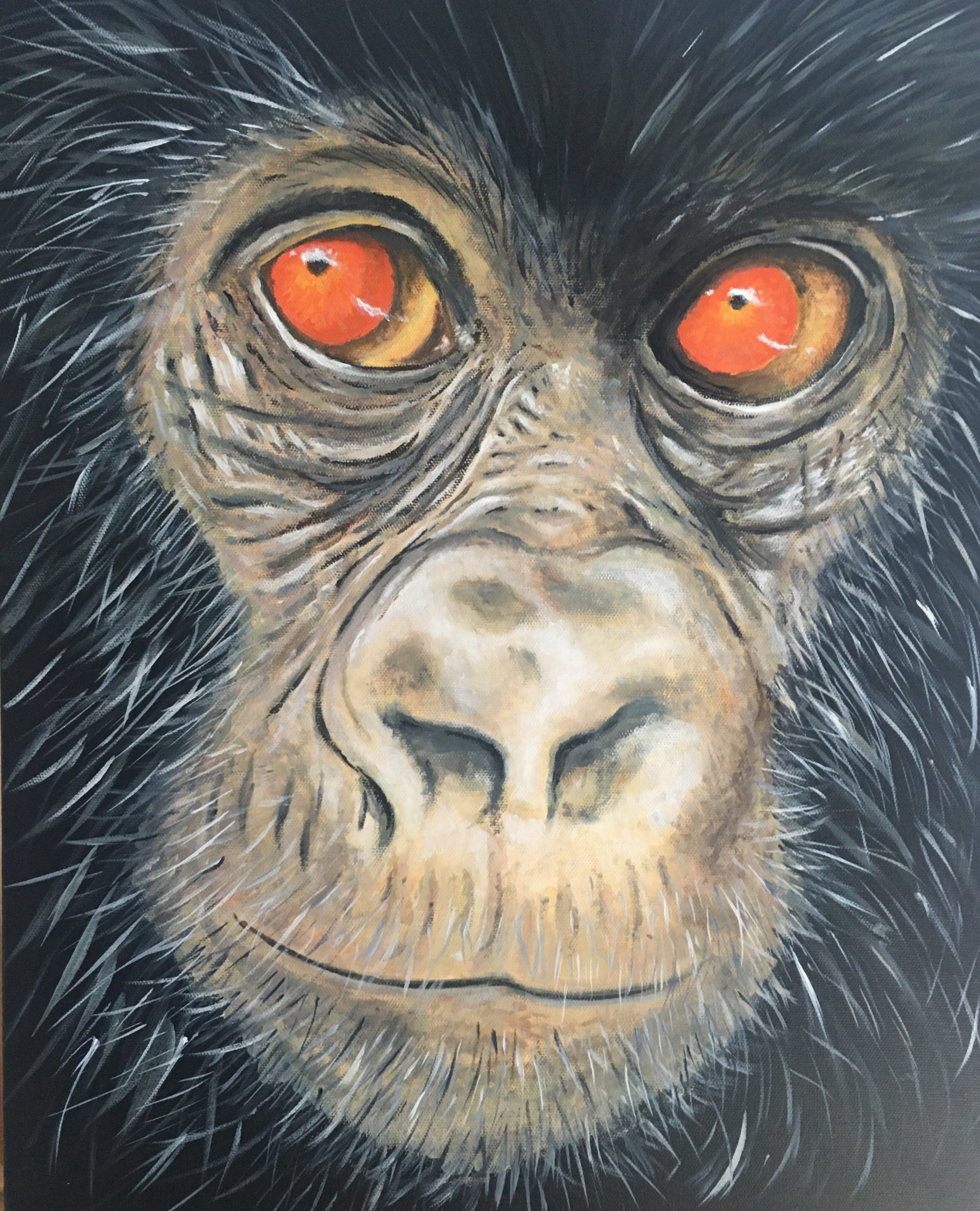 Chimp