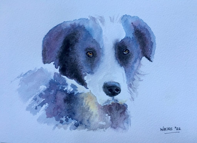 Dog
