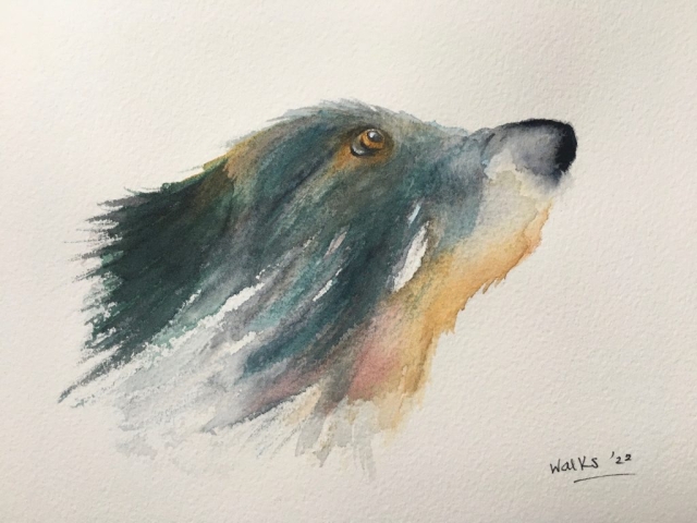 Dog