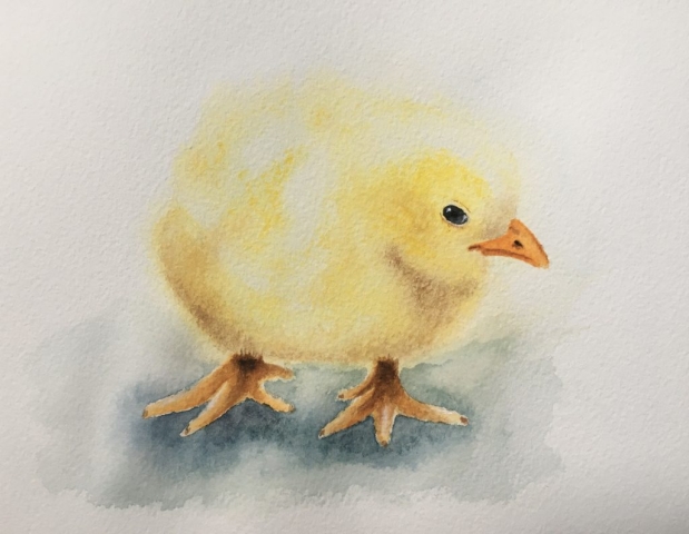 Chick