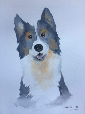 Dog