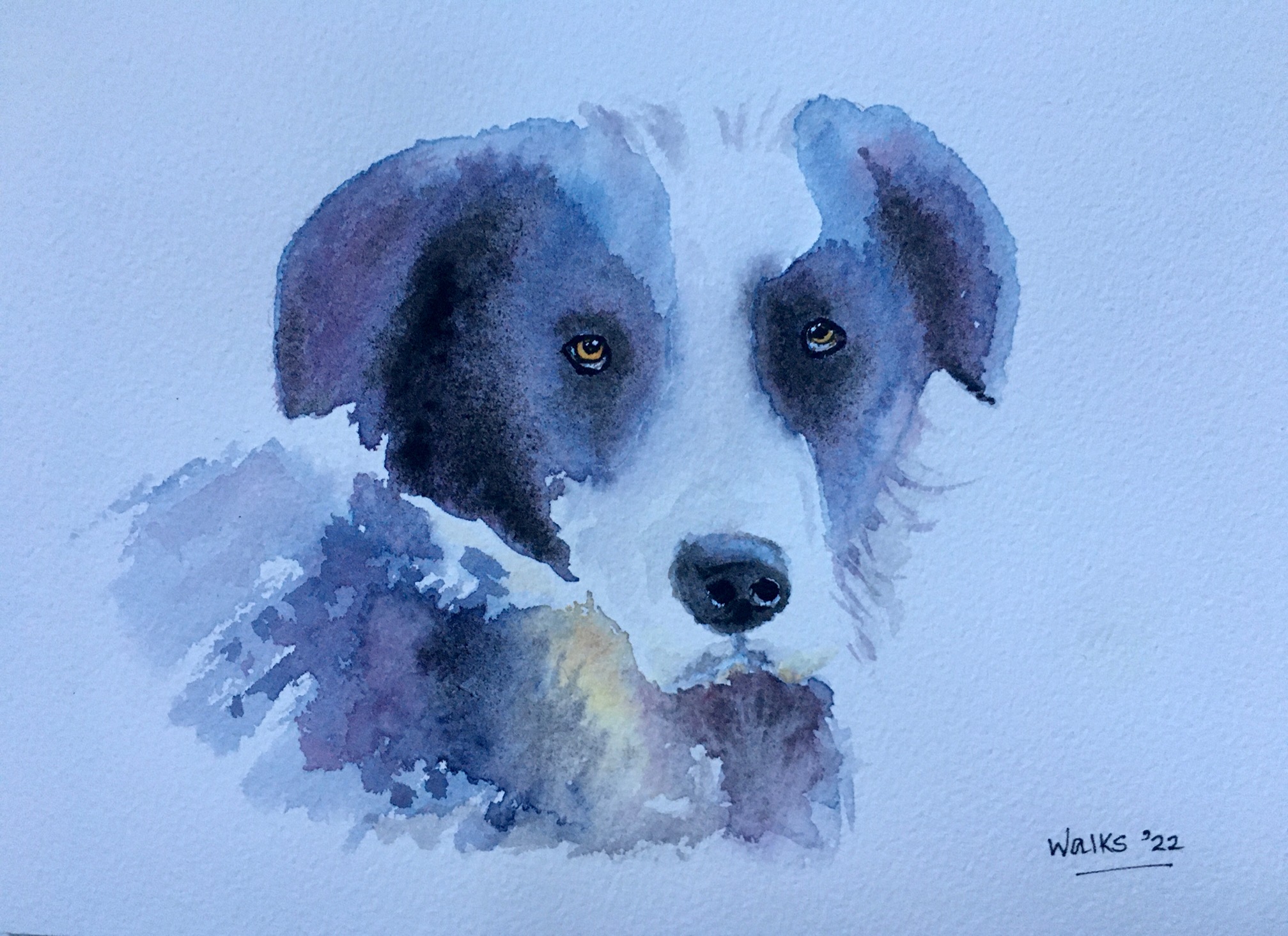 Dog
