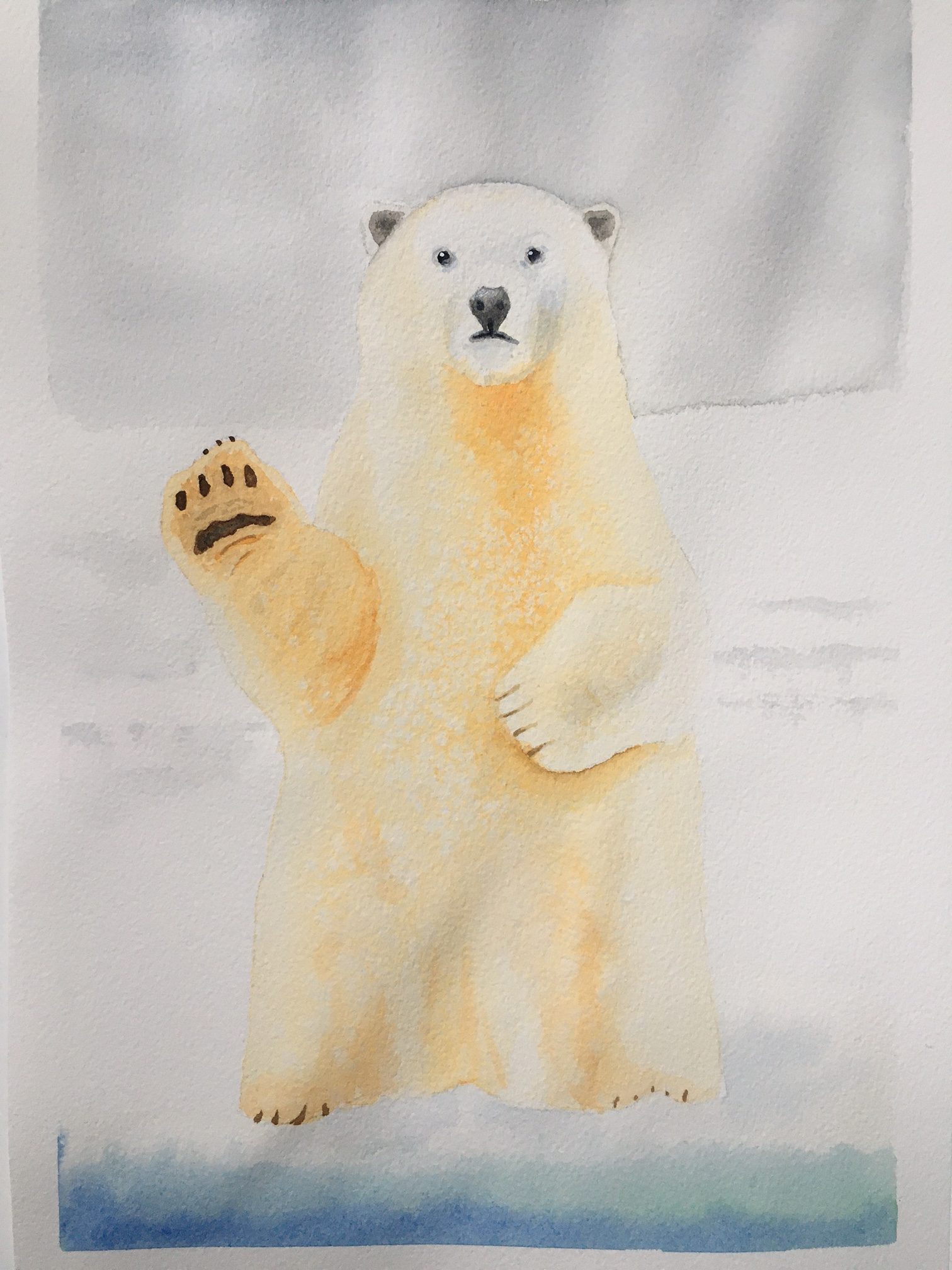 Polar Bear