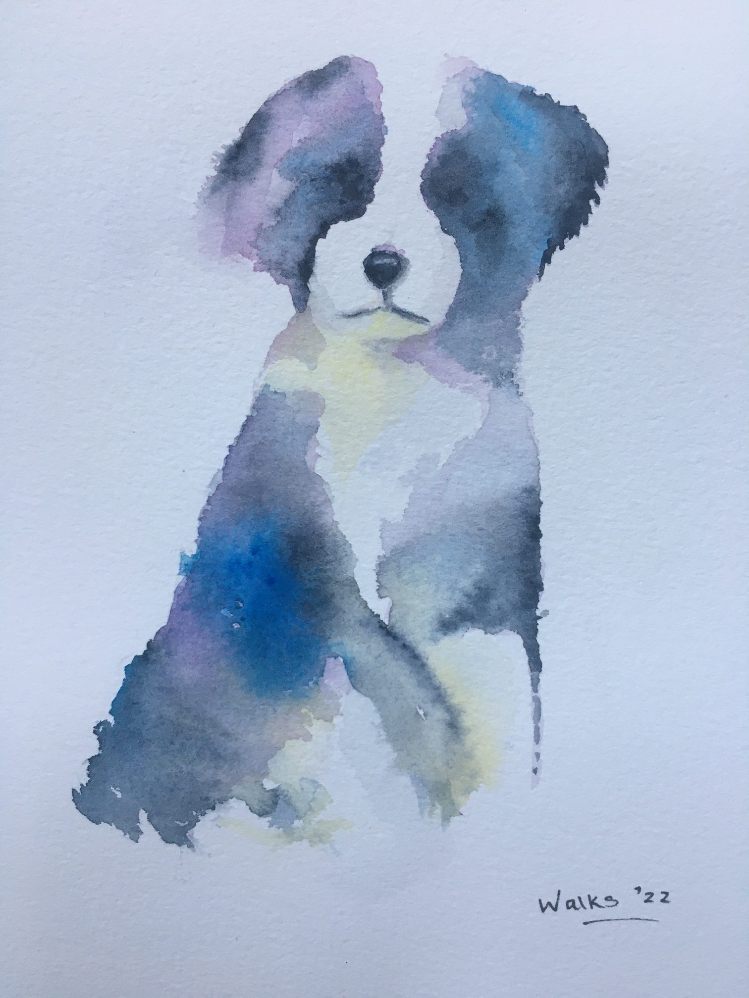 Dog